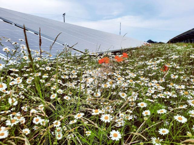 Solar Park Goirle B.V.