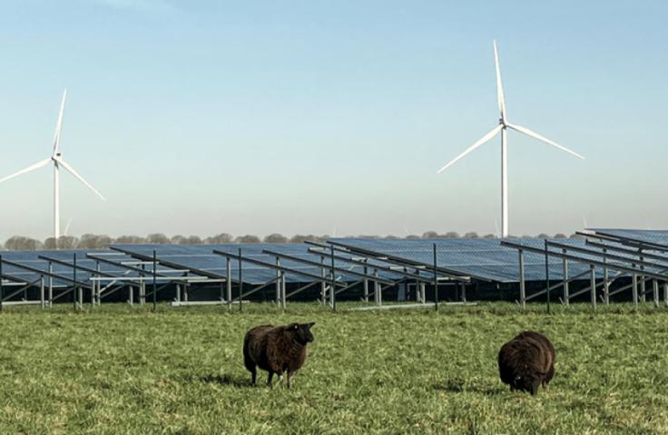 Solar Park Zonnebloesemlaan Zeewolde B.V.